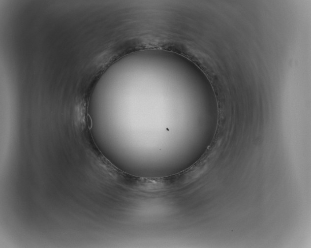 X0000111790768200907231143