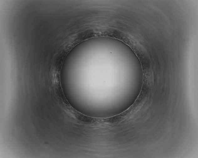 X0000111790770200907231142