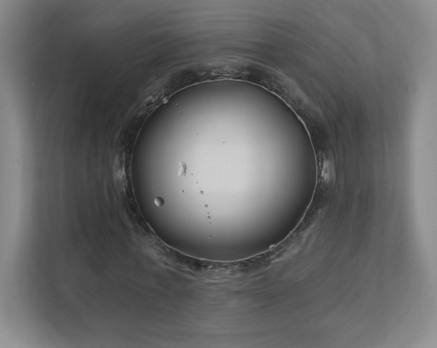 X0000111790771200907231142