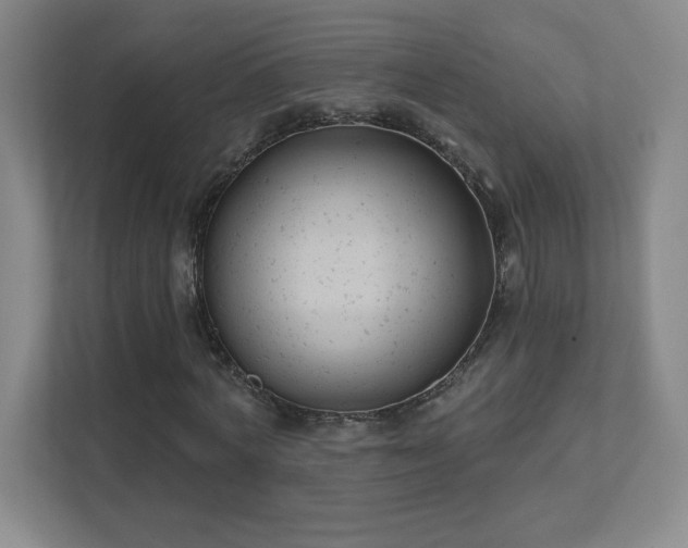 X0000111790772200907231142