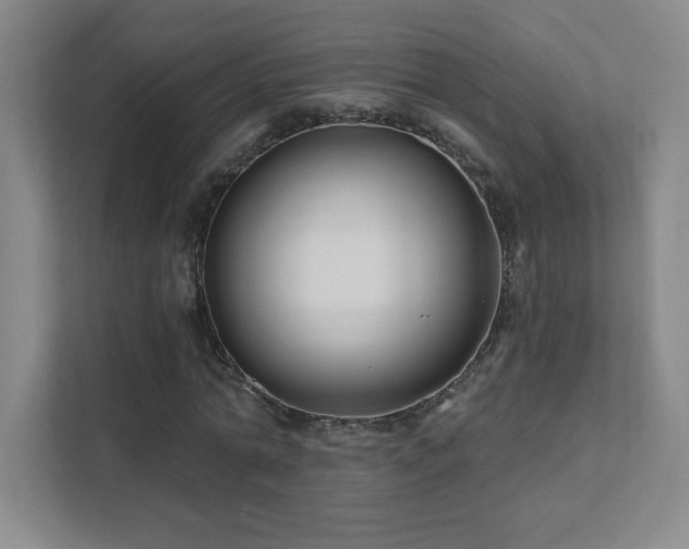 X0000111790774200907231142