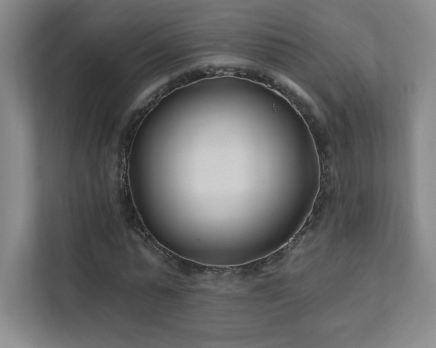 X0000111790775200907231142