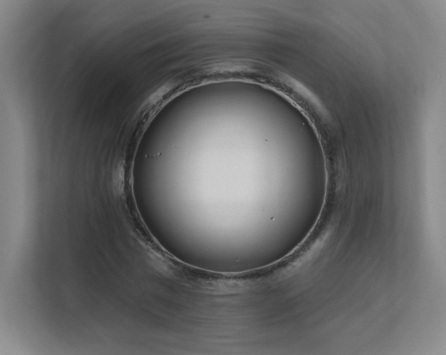 X0000111790777200907231142