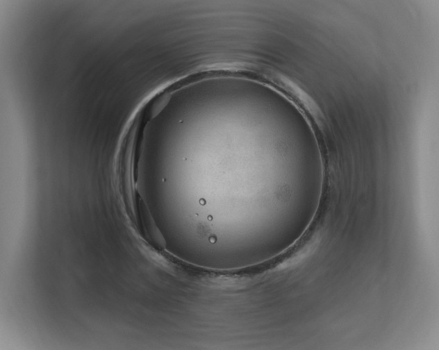 X0000111790779200907231142