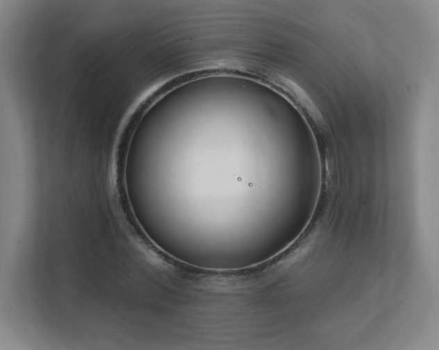 X0000111790780200907231142