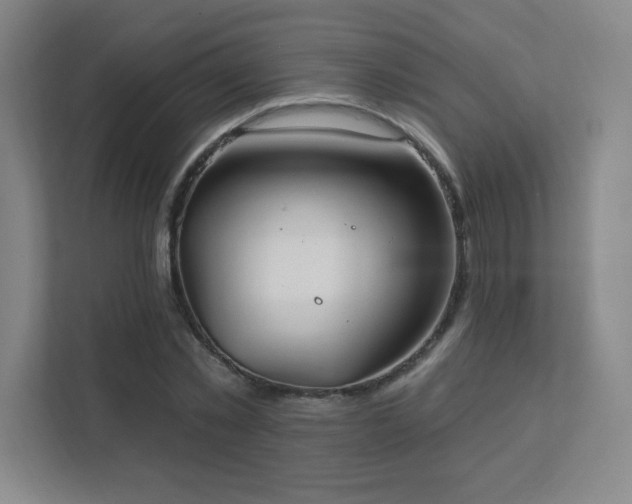 X0000111790781200907231142