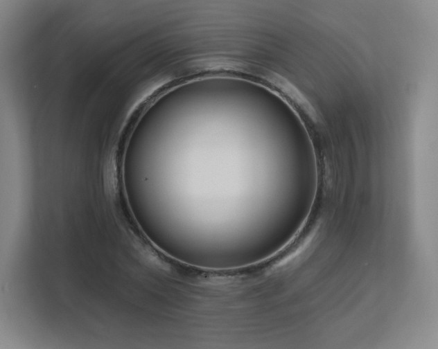 X0000111790782200907231142