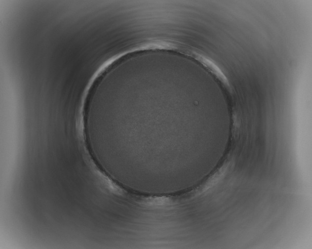 X0000111790784200907231142