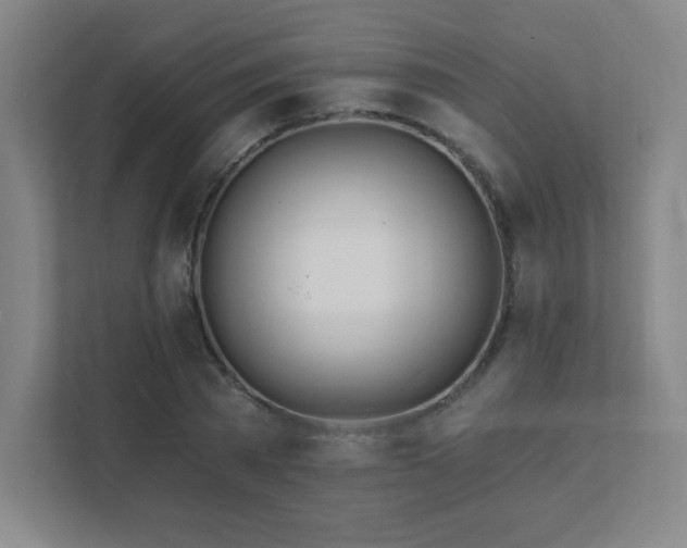 X0000111790785200907231142