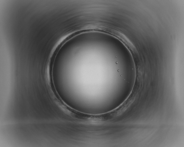 X0000111790788200907231142