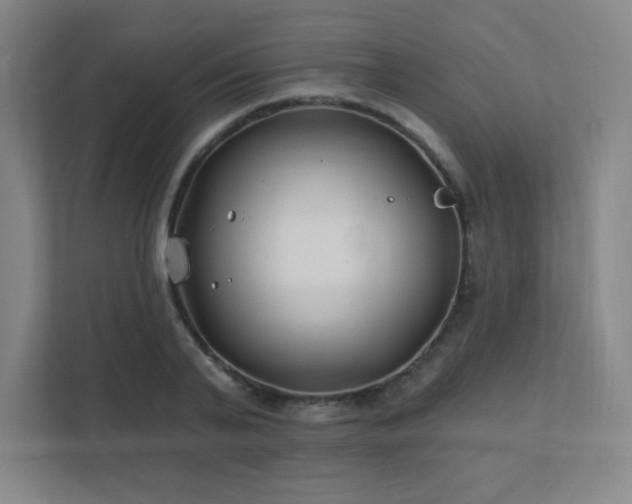 X0000111790791200907231142