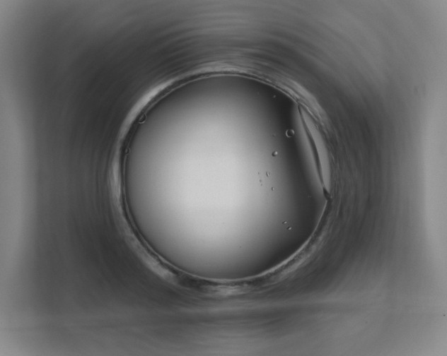 X0000111790796200907231142