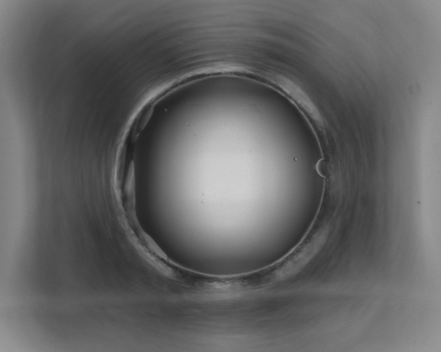 X0000111790797200907231142