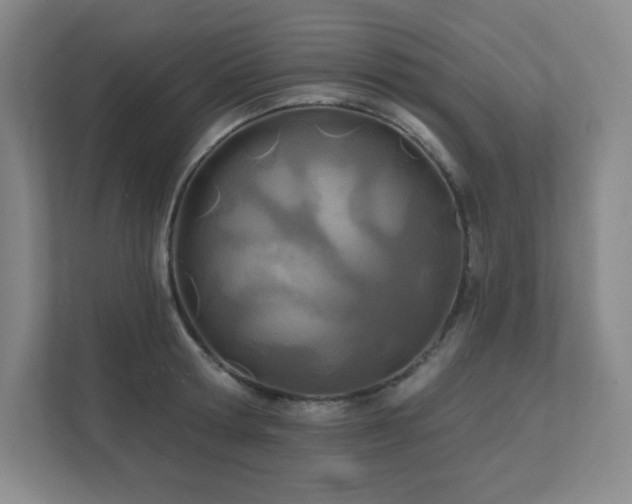 X0000111790802200907231142