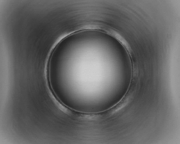 X0000111790803200907231142