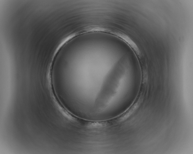 X0000111790806200907231142