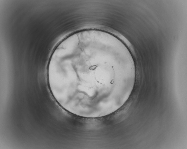 X0000111790807200907231142