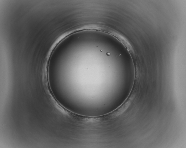 X0000111790808200907231142