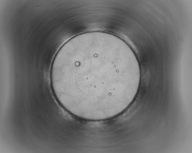 X0000111790810200907231141