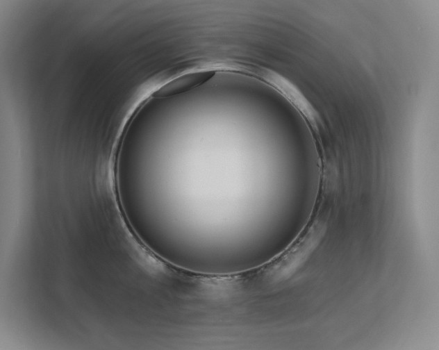 X0000111790813200907231141