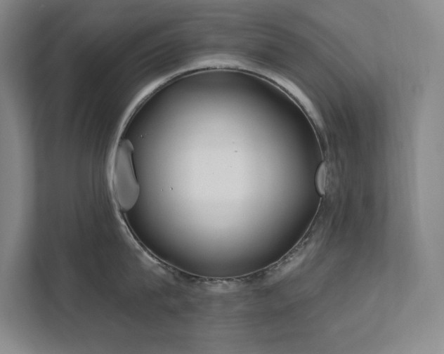 X0000111790815200907231141