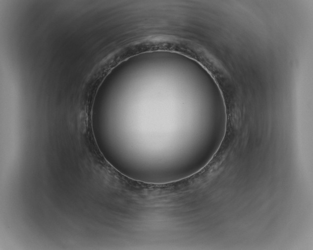 X0000111790821200907231141