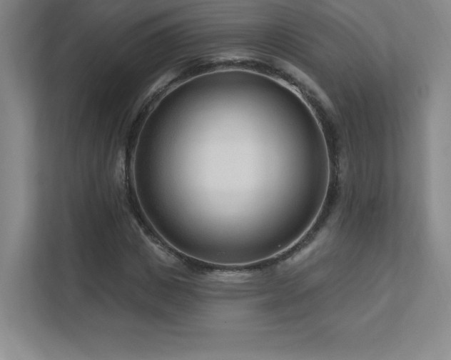 X0000111790825200907231141