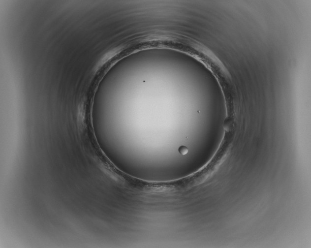 X0000111790826200907231141