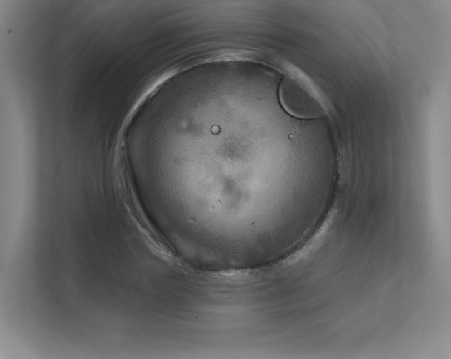 X0000111790827200907231141