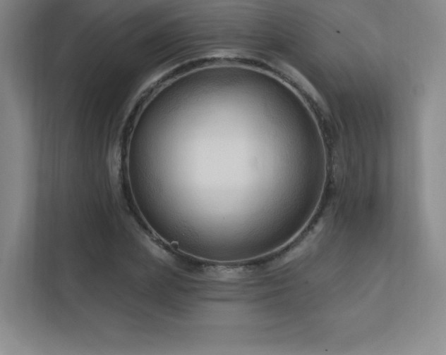 X0000111790831200907231141