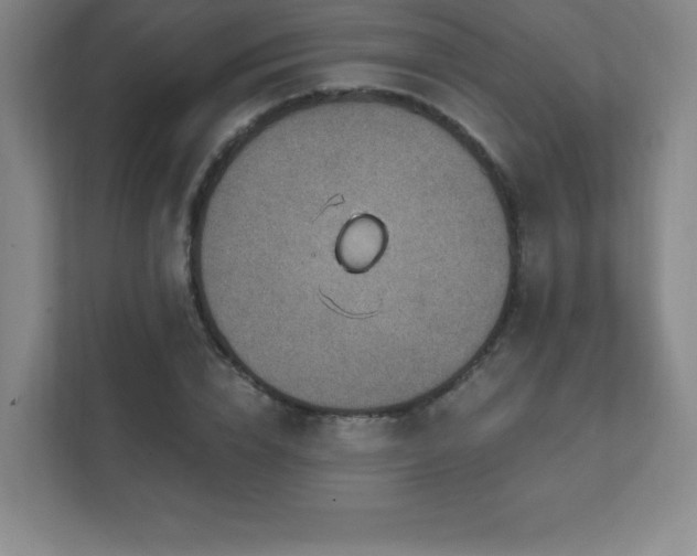 X0000111790832200907231141