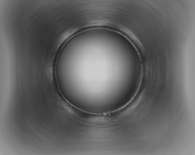 X0000111790834200907231141