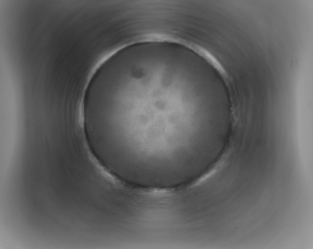 X0000111790839200907231141