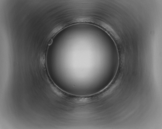 X0000111790841200907231141