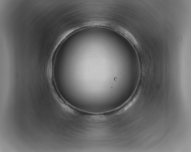 X0000111790844200907231141