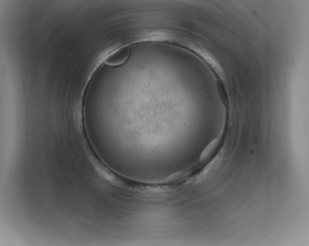 X0000111790850200907231141