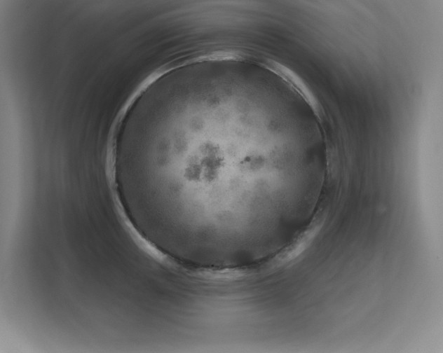 X0000111790851200907231141