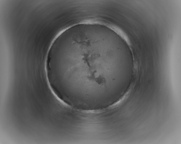 X0000111790855200907231141