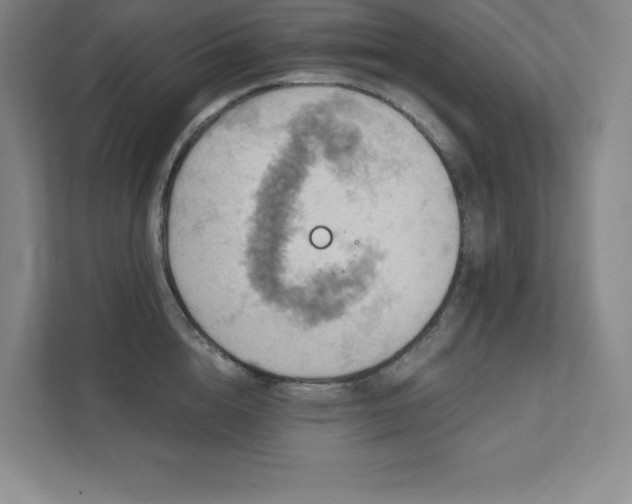 X0000111790856200907231141