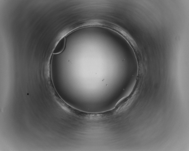 X0000111790858200907231141