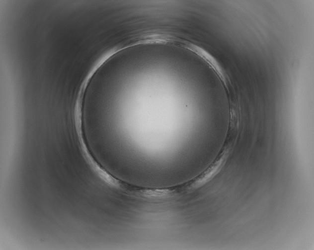 X0000111790859200907231141