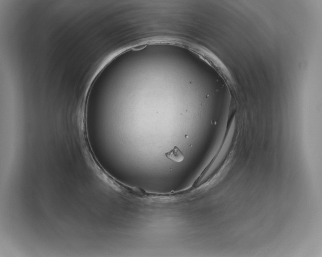 X0000111790860200907231141