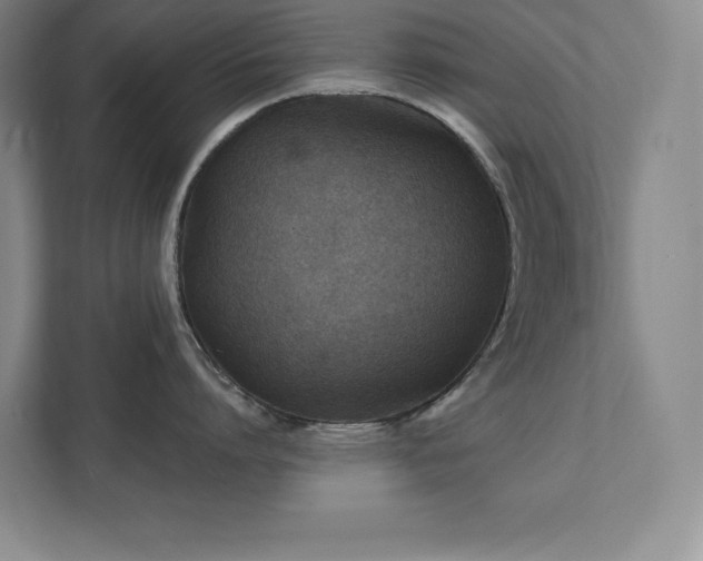 X0000111790864200907231141