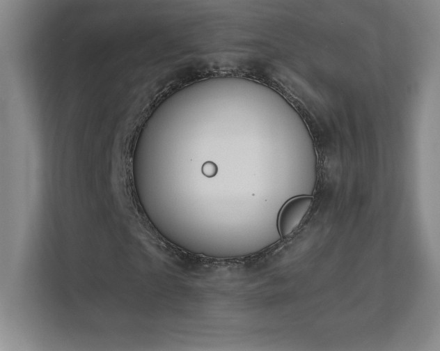 X0000111790865200907231141