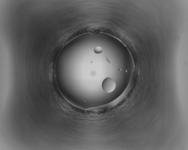 X0000111790868200907231141