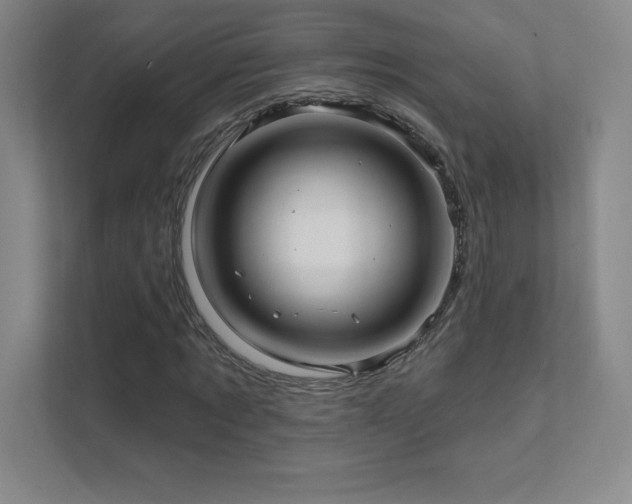 X0000111790869200907231141