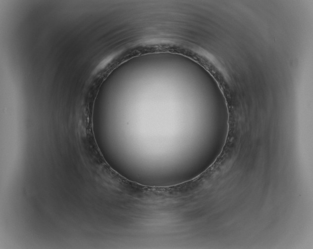 X0000111790871200907231141