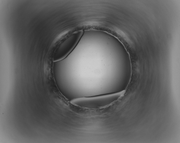 X0000111790872200907231141