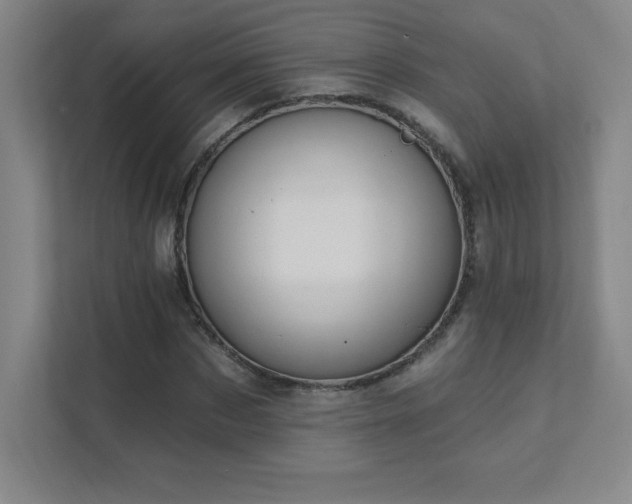 X0000111790873200907231141