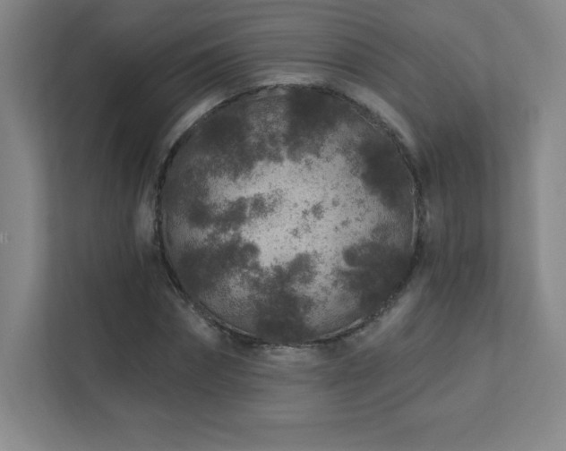 X0000111790874200907231141